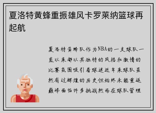 夏洛特黄蜂重振雄风卡罗莱纳篮球再起航