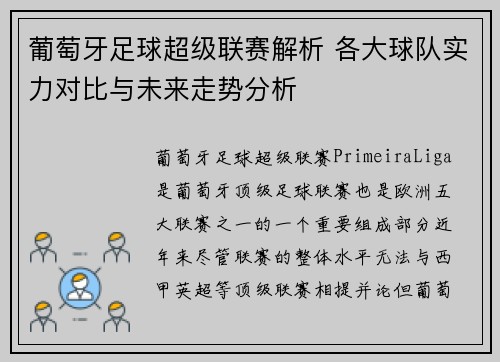 葡萄牙足球超级联赛解析 各大球队实力对比与未来走势分析